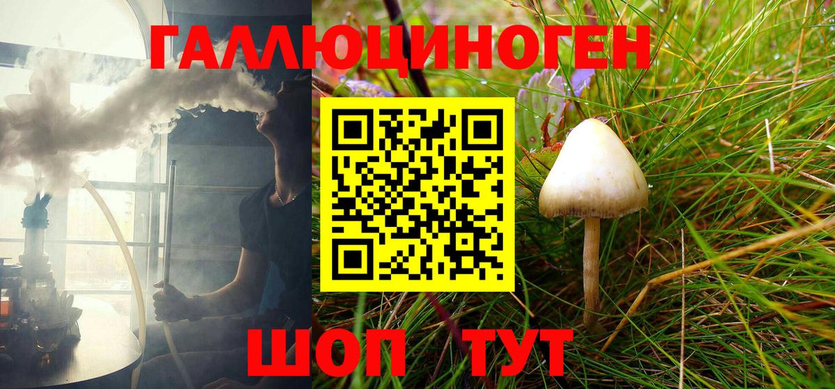 Псилоцибиновые грибы GOLDEN TEACHER  что такое   Белогорск  Вход с VPN  Галлюциногенные грибы Psilocybine cubensis 