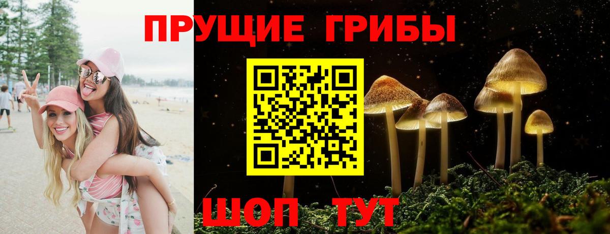 Галлюциногенные грибы GOLDEN TEACHER Белогорск